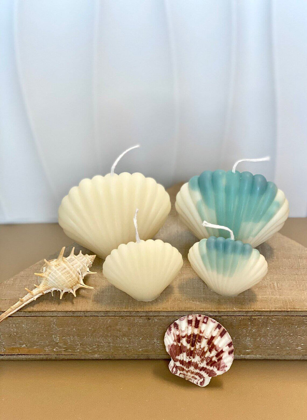 Handmade Soy Wax Shell Candles - Unique Eco-Friendly Decor with Soy Wax Shell Handmade Candles